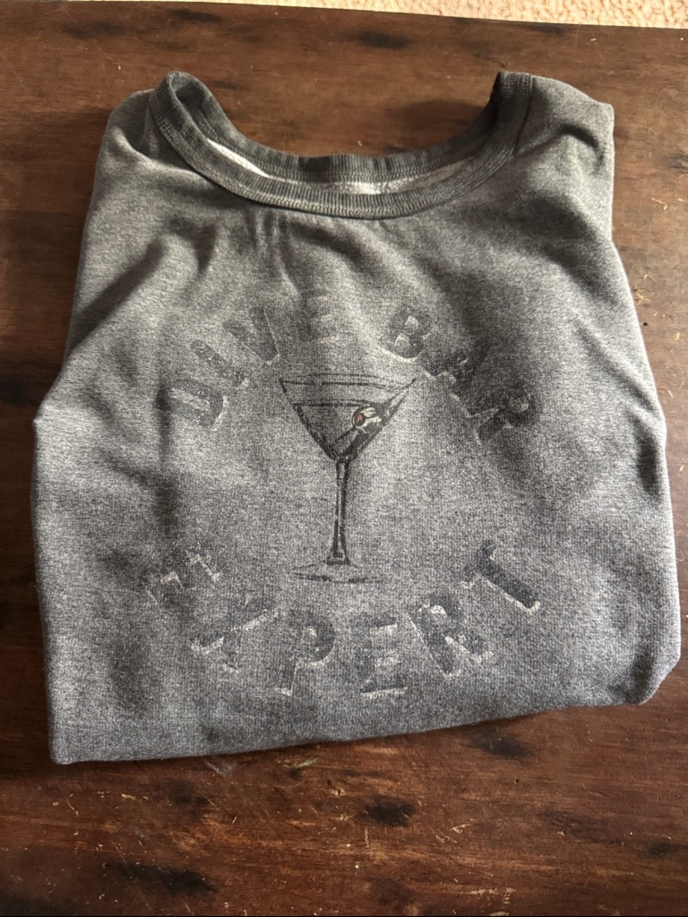 EUC Gray Graphic Sweatshirt “dive bar expert”.